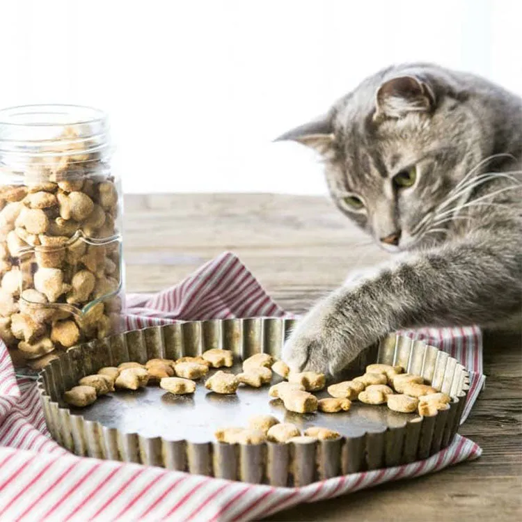 BoneItUp Homemade Cat Treats Kit