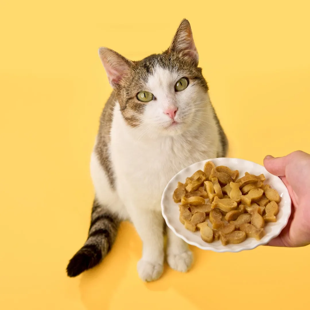 BoneItUp Homemade Cat Treats Kit