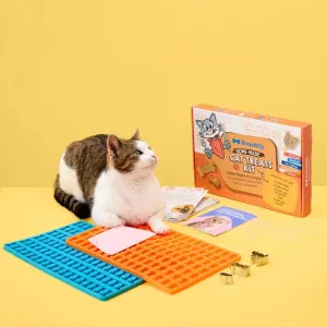 BoneItUp Homemade Cat Treats Kit