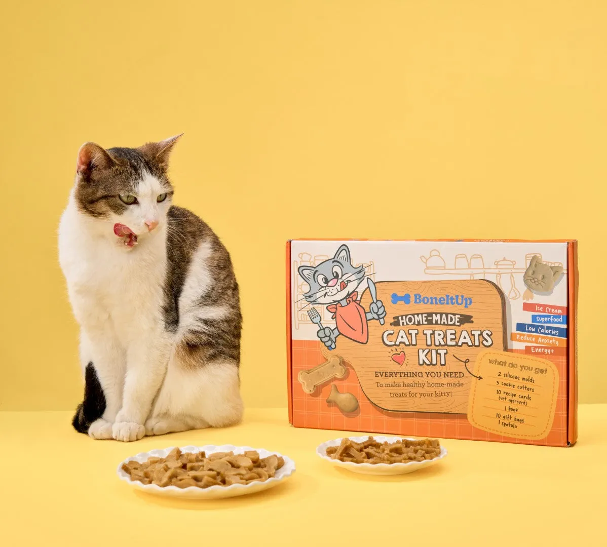 BoneItUp Homemade Cat Treats Kit