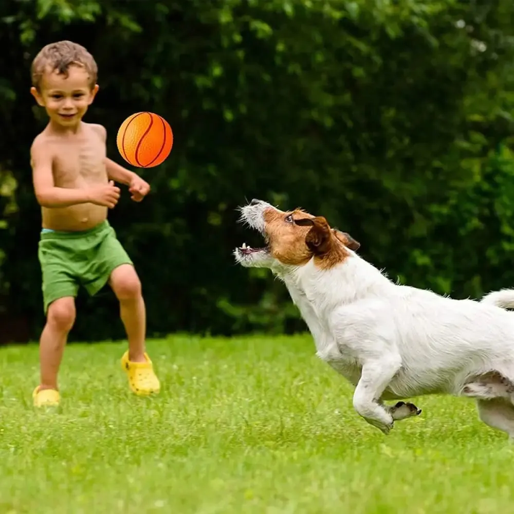 Durable Bouncy Fetch Basketball Chew Ball for Small Medium Dogs Interactive Game
