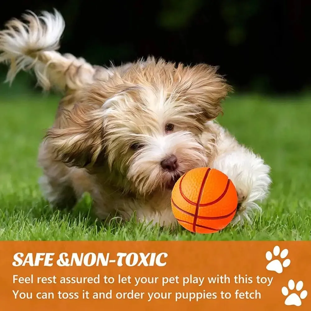Durable Bouncy Fetch Basketball Chew Ball for Small Medium Dogs Interactive Game