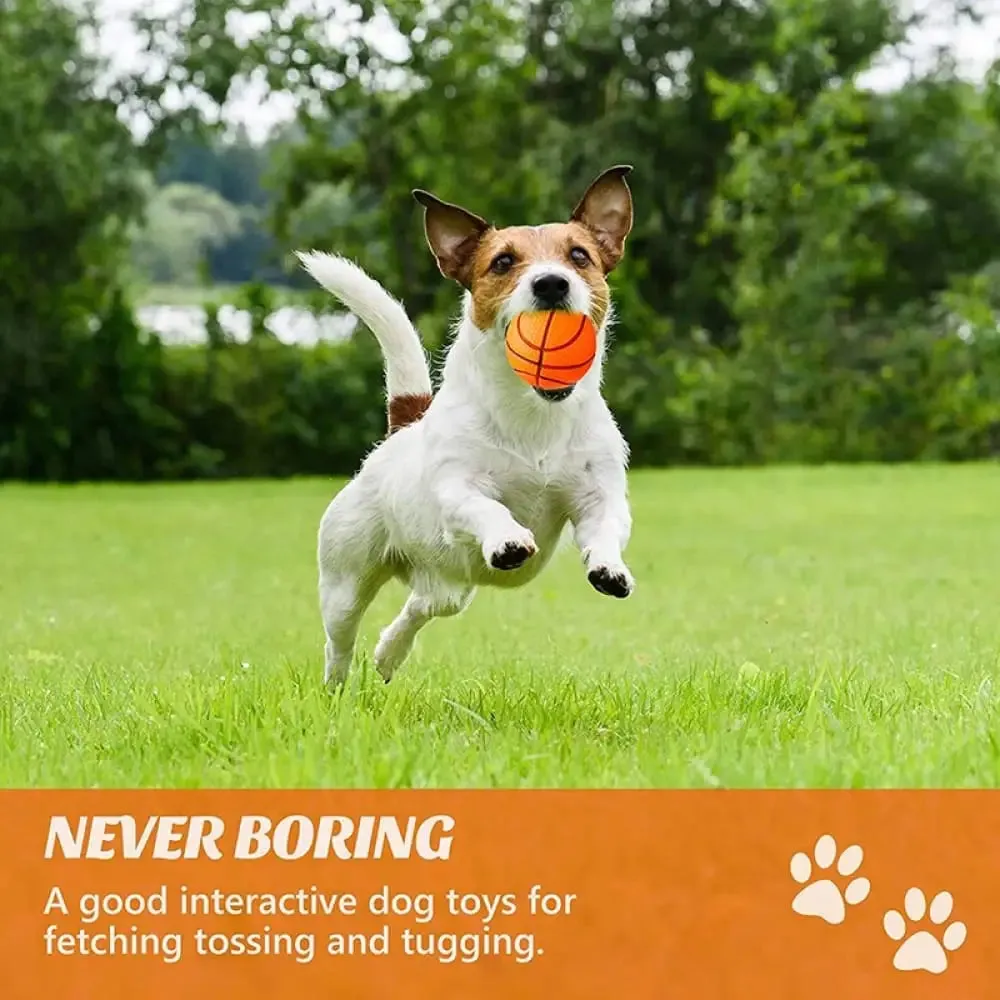 Durable Bouncy Fetch Basketball Chew Ball for Small Medium Dogs Interactive Game