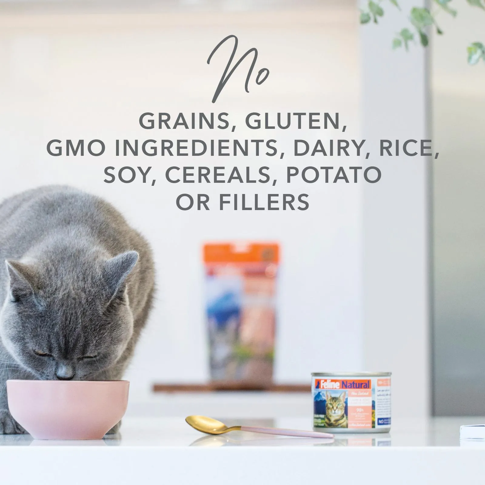 Feline Natural Chicken Feast Wet Cat Food 170g x 12