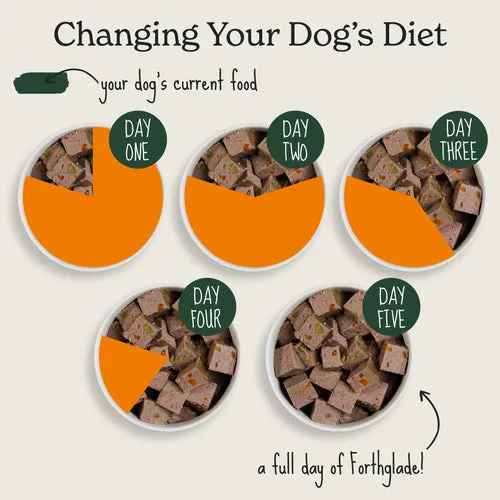 Forthglade | Grain Free Natural Complete Wet Dog Food Tray | Duck & Vegetables - 395g