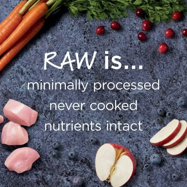 Instinct Raw Boost Indoor Health Real Chicken Recipe Dry Cat Food, 5lb