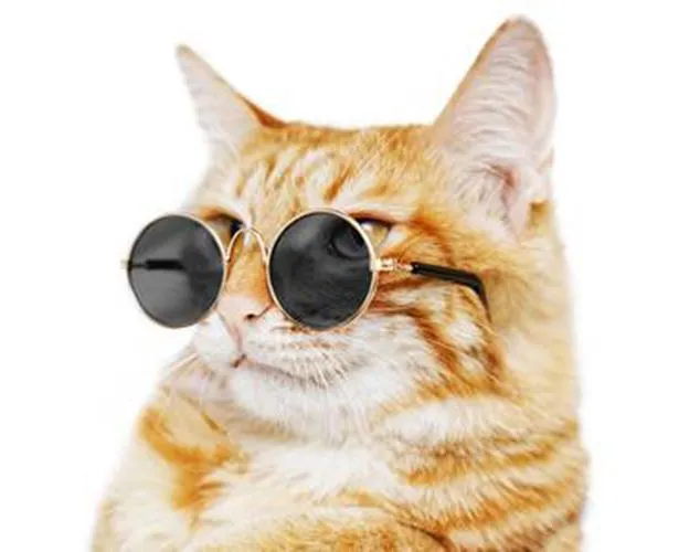 Kitty Hippie Sunglasses