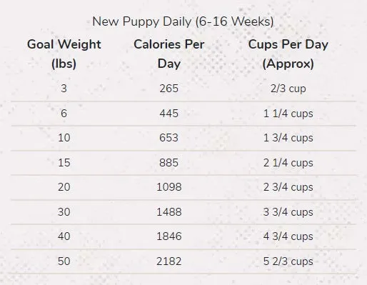 Merrick Puppy Beef & Sweet Potato Dry Dog Food