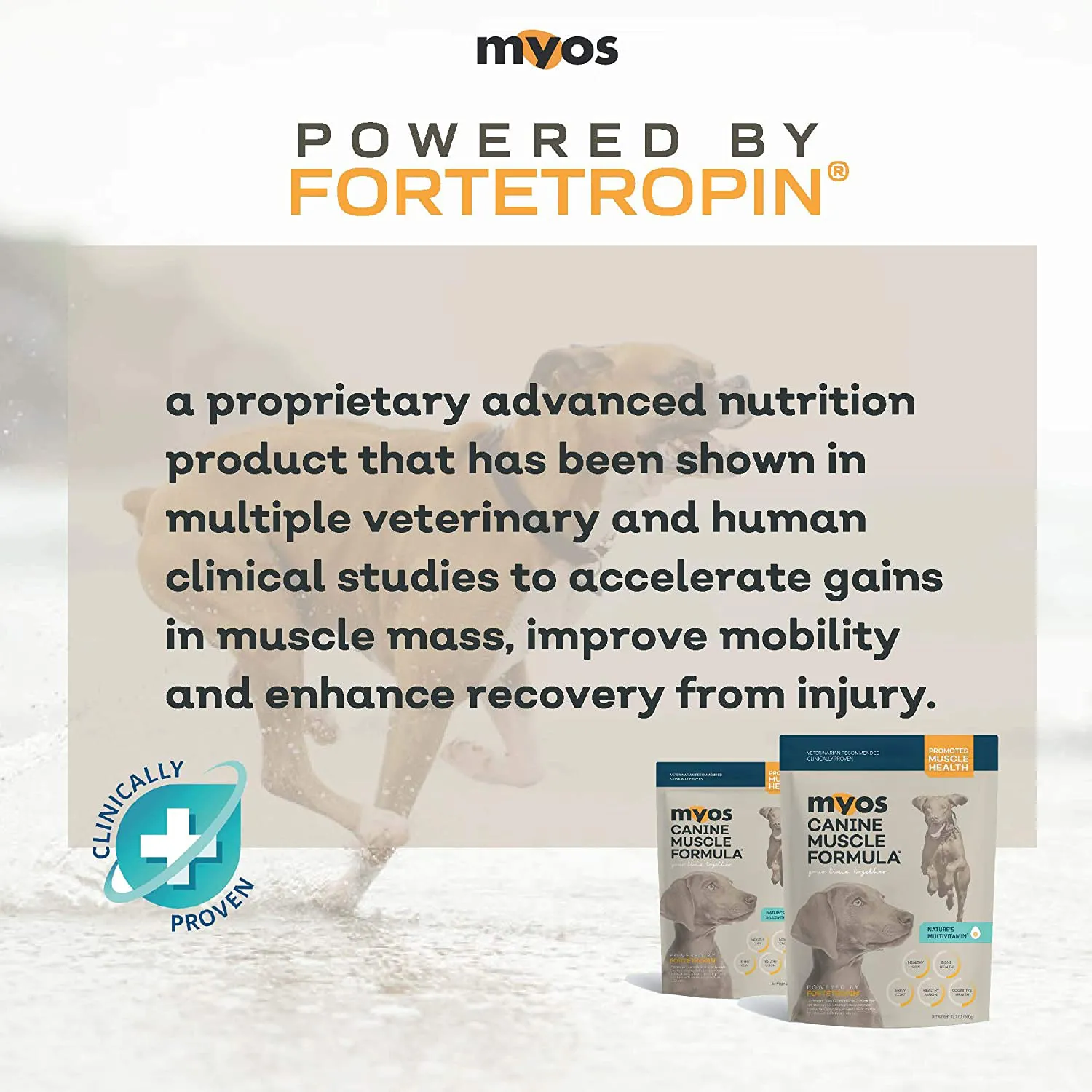 MYOS Canine Muscle Formula - Clinically Proven All-Natural Muscle Building Supplement - Reduce Muscle Loss in Aging Dogs and Improve Recovery from Injury or Surgery
