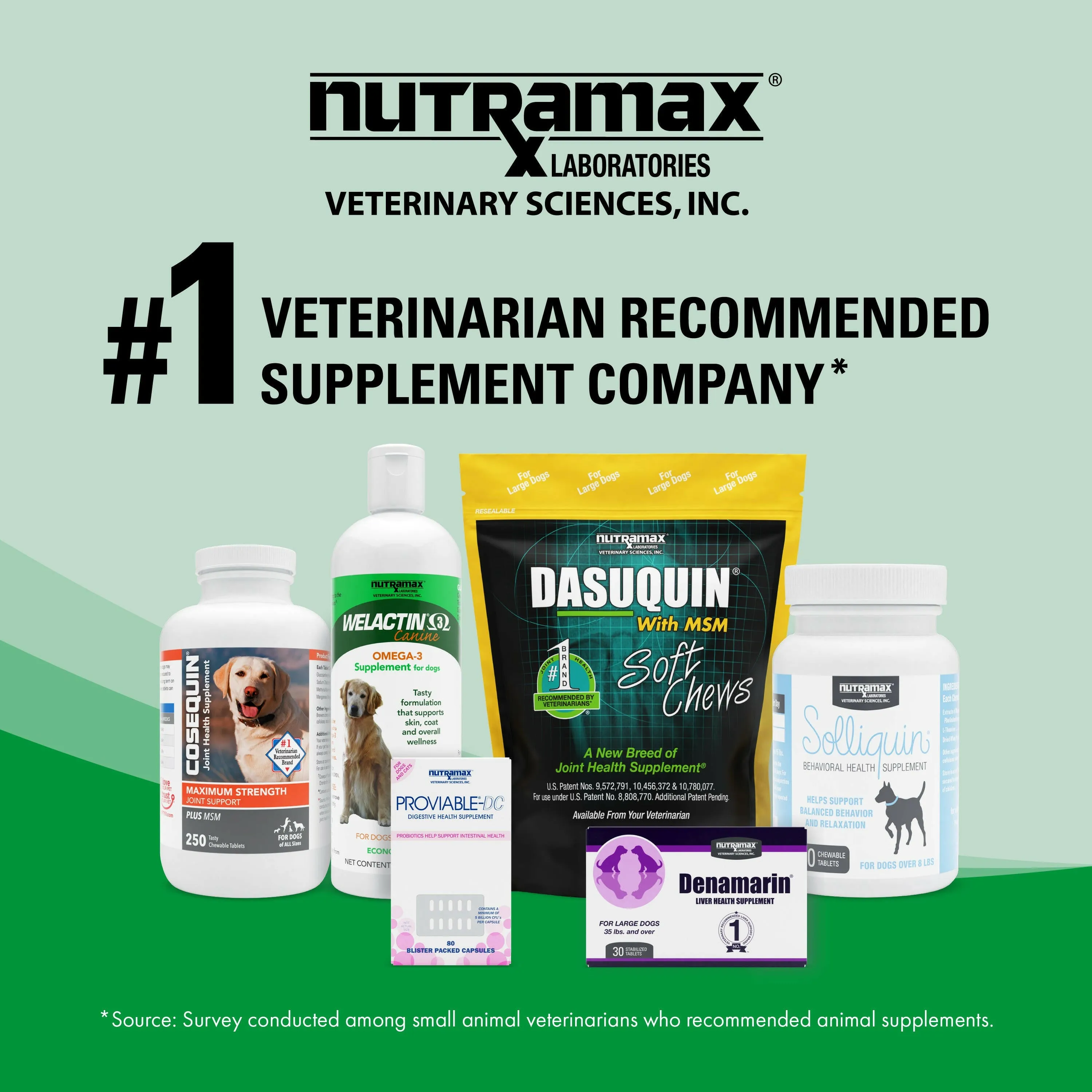 Nutramax Welactin Omega-3 Fish Oil Skin and Coat Health Supplement Liquid For Cats, 4 Ounce