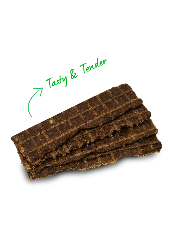 Open Farm Grain Free Jerky Strips Chicken Dog Treats