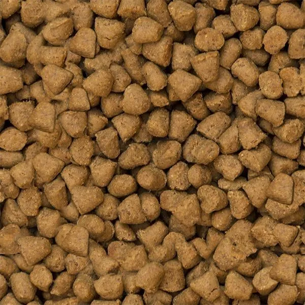 Oven-Baked Tradition Dry Food for Cats - Fish