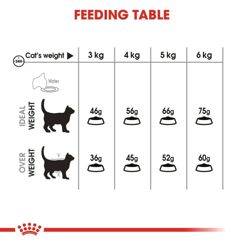 Royal Canin Oral Care Dental Adult Cat