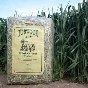Torwood Farm Mini Oaten Bale 22L